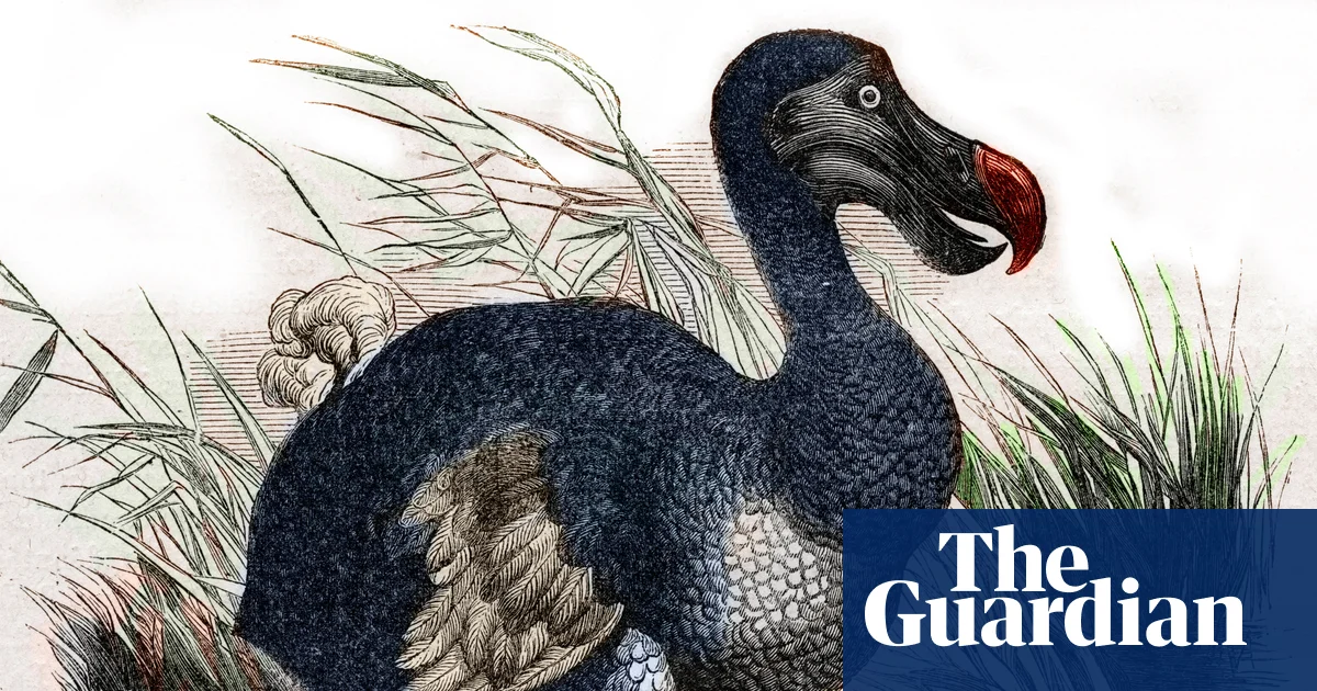 Featured image for Scientists and startups make strides toward bringing back the dodo bird