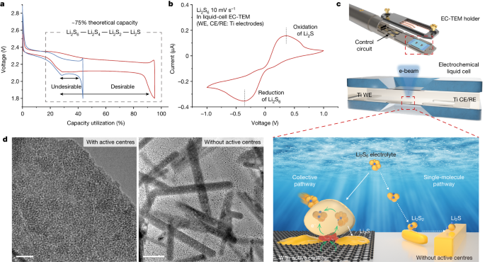 Featured image for Unveiling Unforeseen Reactions in Li-S Batteries through Visualization