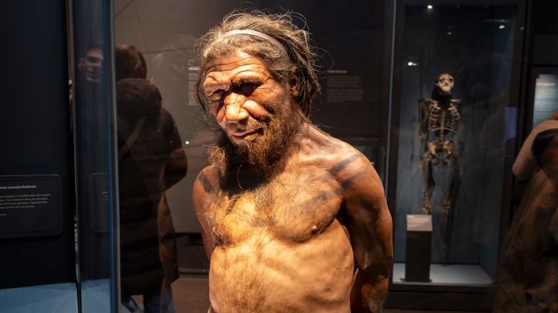 Featured image for Unique Human Enzyme May Have Driven Our Evolutionary Success