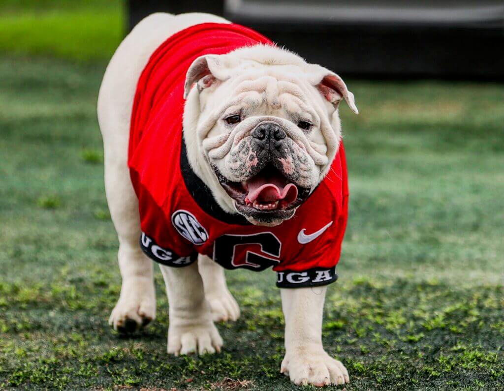 Georgia Football's Uga X Retires, Uga XI "Boom" to be Introduced at G-Day Game.