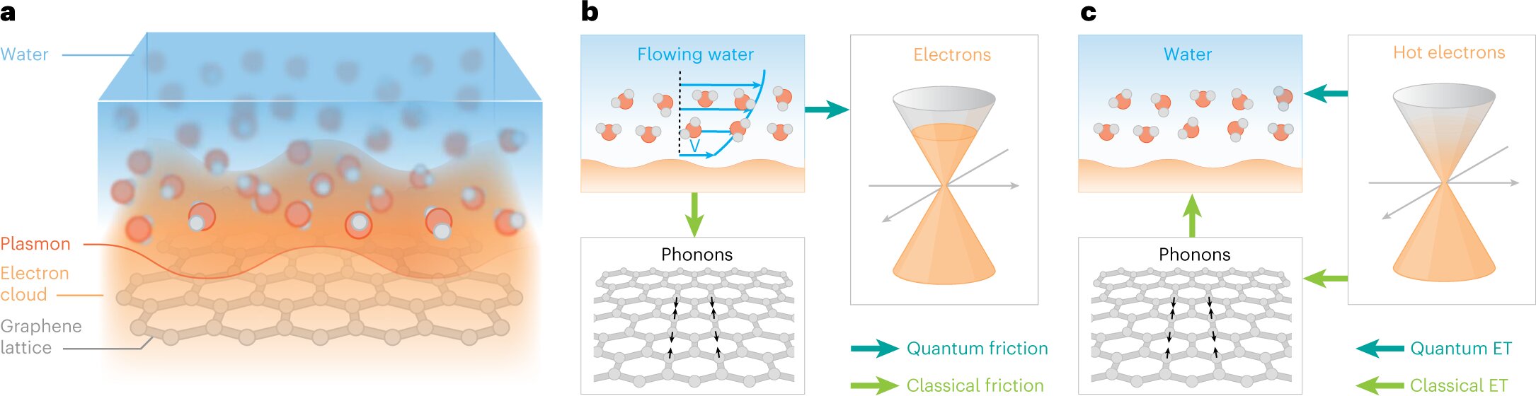 Quantum friction controls water flow on carbon surfaces, study finds.