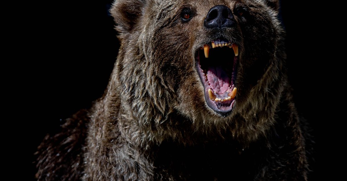 Cryptocurrency Market in Turmoil as Bitcoin and Altcoins Experience Significant Drops.