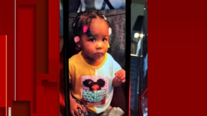 "Kidnapped Michigan Toddler Still Missing, Suspect Arrested"