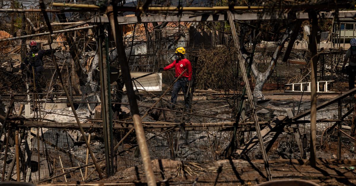 Maui Wildfire Crisis: Relief Efforts and Support for Victims