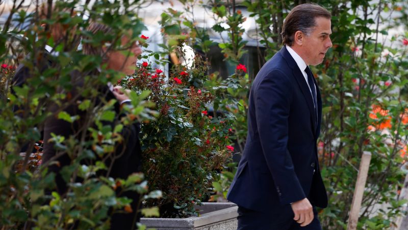 Hunter Biden to Plead Not Guilty in Federal Gun Charges Case