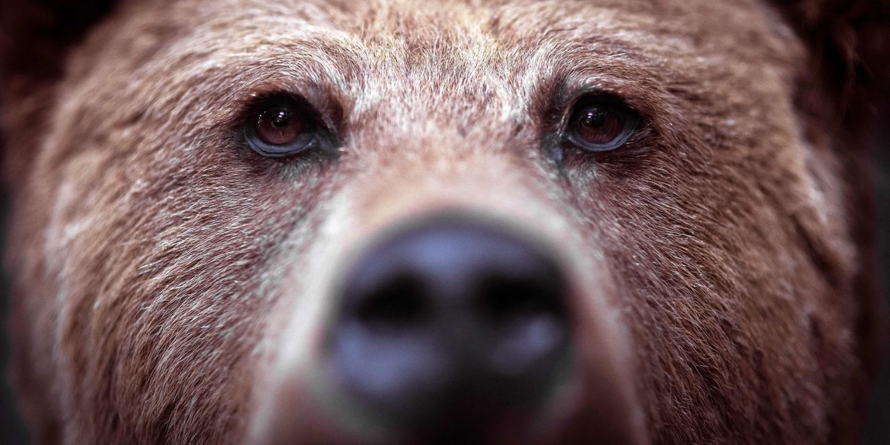 Featured image for Investors' Bearish Bets on U.S. Stocks Reach Decade High