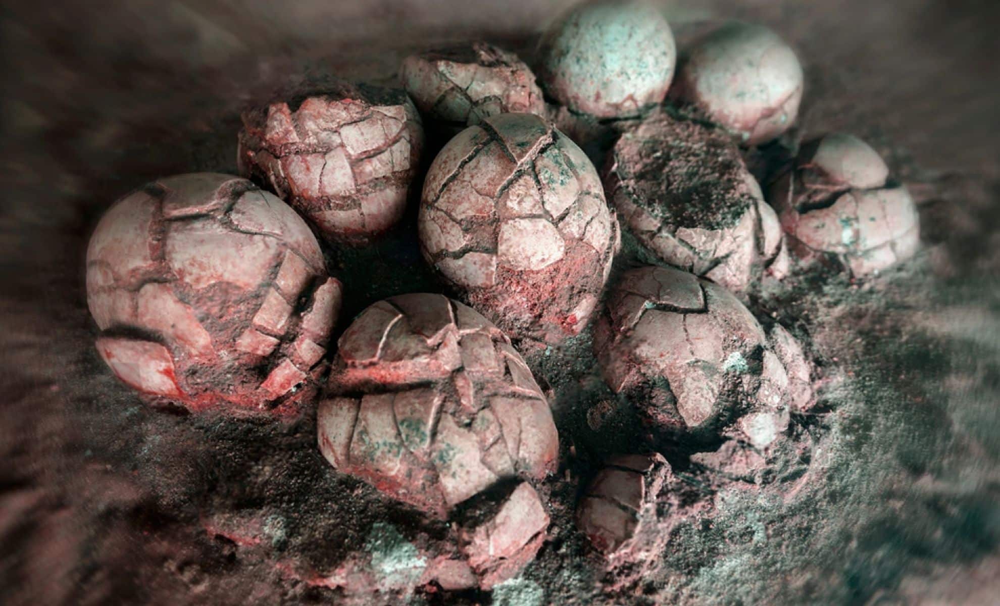 Featured image for Ancient Dinosaur Eggs Uncover Secrets of Jurassic Life and Evolution