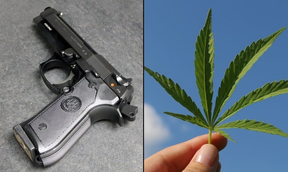 Featured image for Federal Appeals Court Strikes Down Gun Ban for Marijuana Consumers
