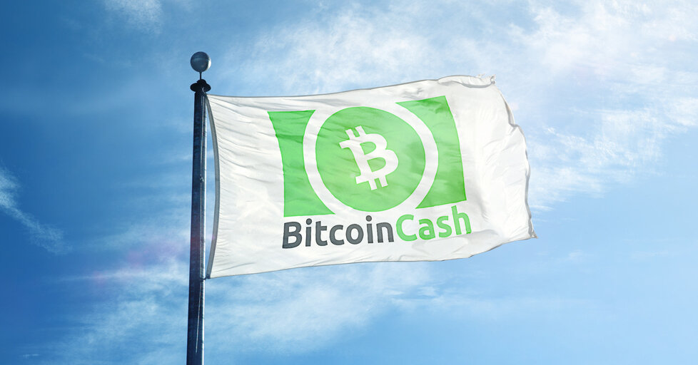 Featured image for Bitcoin Cash Skyrockets in South Korea, Surging 110% in a Week