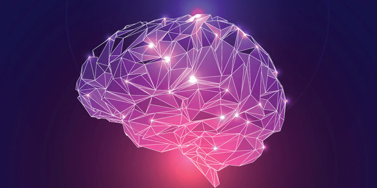 Featured image for "Kidney Protein Injection Enhances Monkey Brain Function"