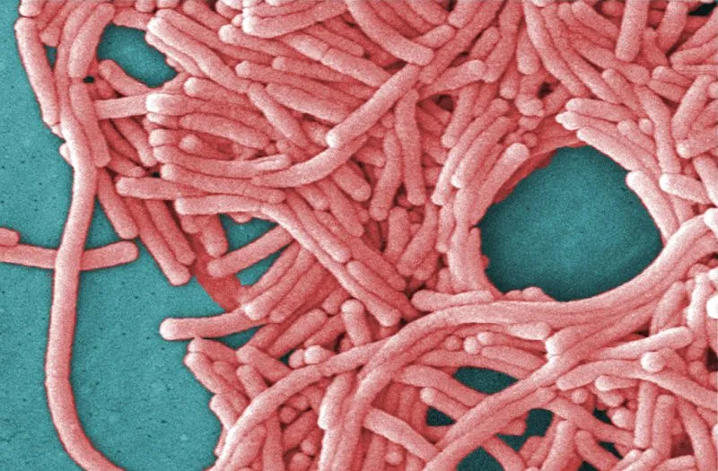 Featured image for Legionnaires' Outbreak in Marshalltown Linked to Cooling Towers