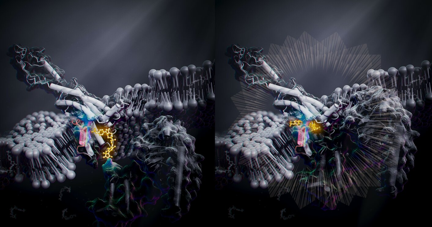 Featured image for Revolutionary drug development method eliminates side effects.