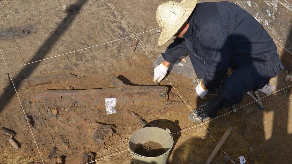 Featured image for Ancient Wooden Tools Reveal Early Human Plant-Based Diet in China