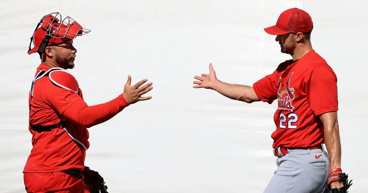 The Cardinals' Mixed Feelings on Willson Contreras