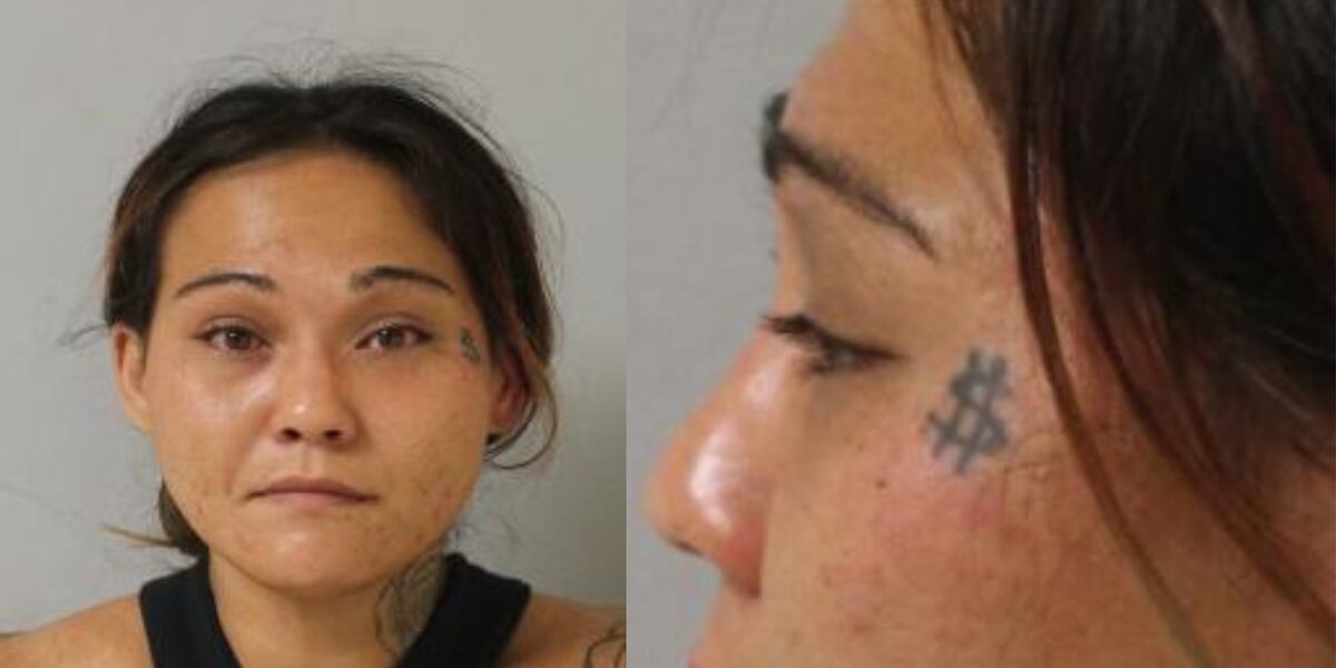 Featured image for Desperate Search for Missing Opihi Picker on Big Island