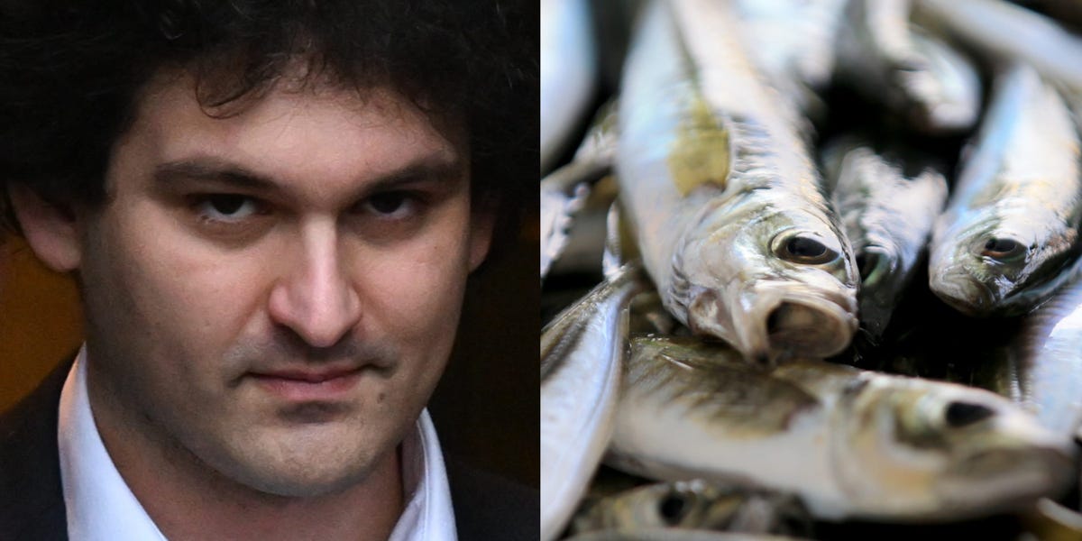 "Sam Bankman-Fried's Unusual Prison Currency: Trading Fish for Services"