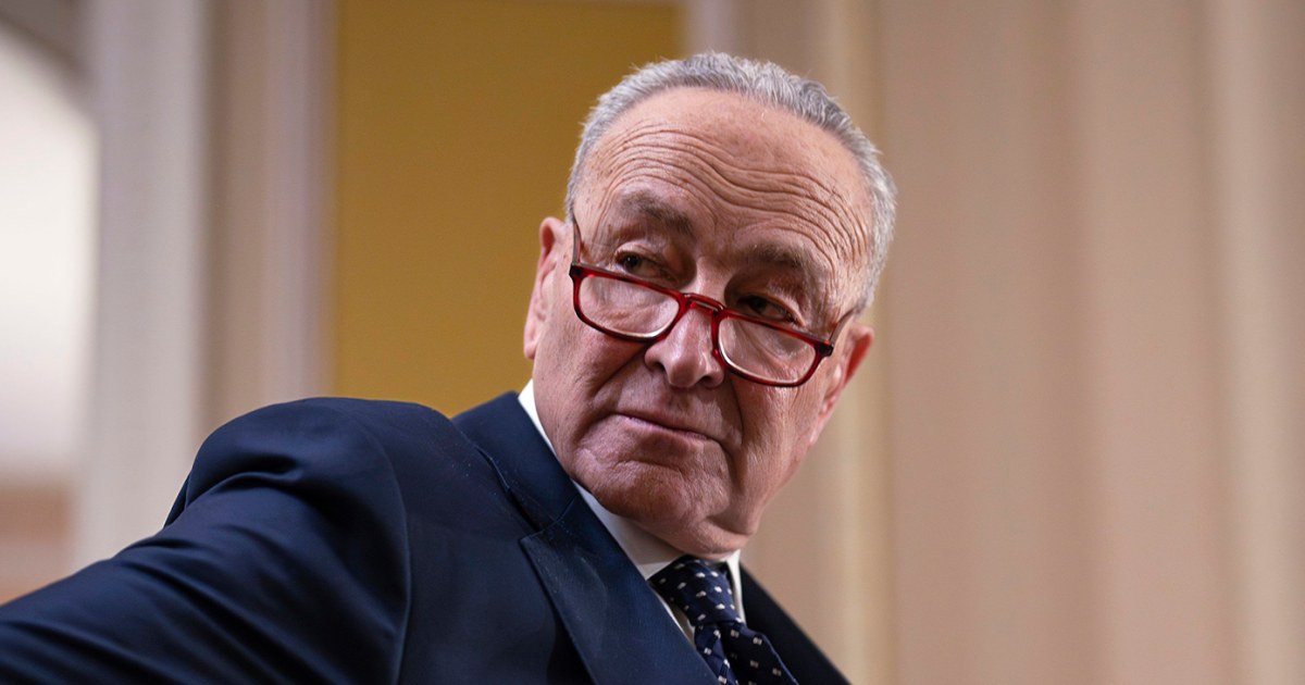 "Schumer's Plan B: Stripped-Down Aid Package for Israel and Ukraine Amid GOP Border Bill Block"