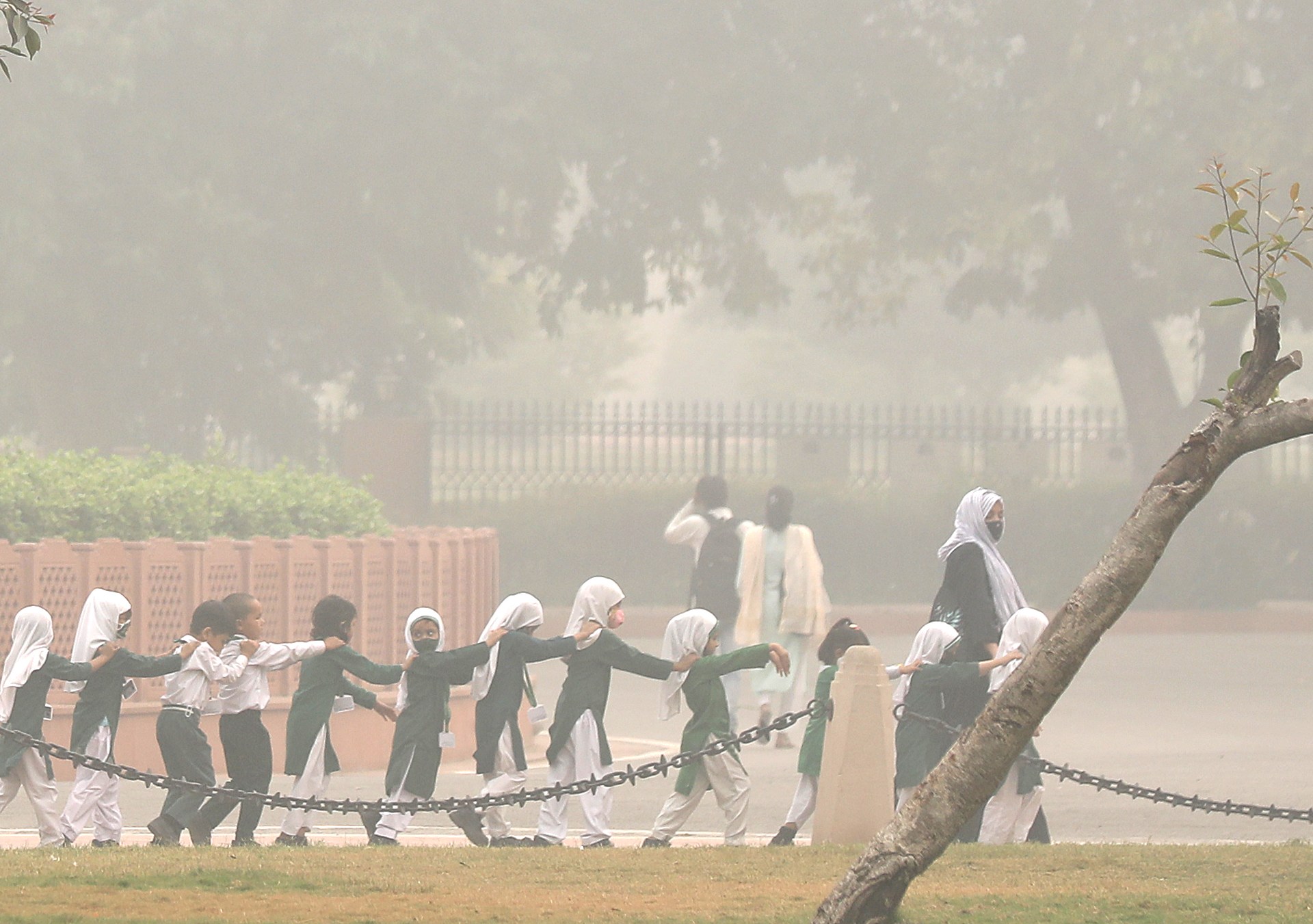 Delhi's Smog Crisis: Schools Closed, Cricket World Cup Affected, No Action Taken