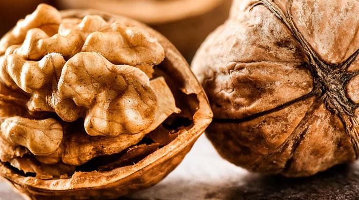 Featured image for "The Nutritional Powerhouse: Why Walnuts Should Be a Daily Addition to Your Diet"