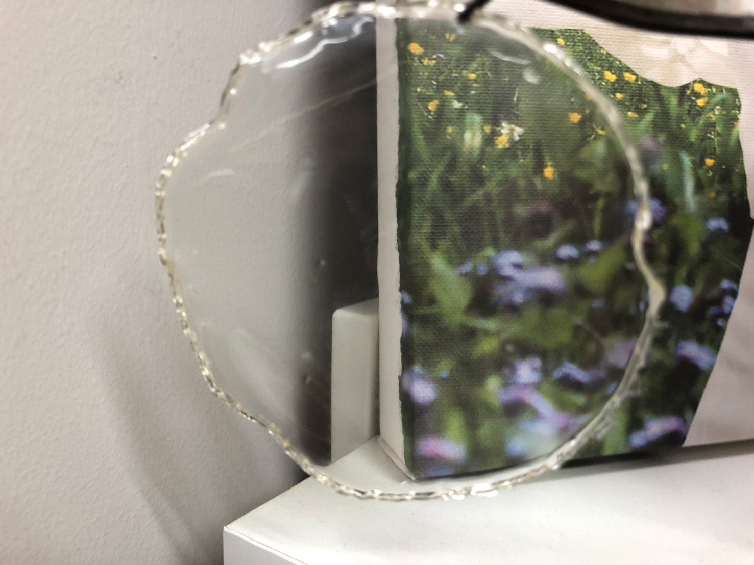 Featured image for "Turning Agricultural Waste into Sustainable Plant-Based Plastics"