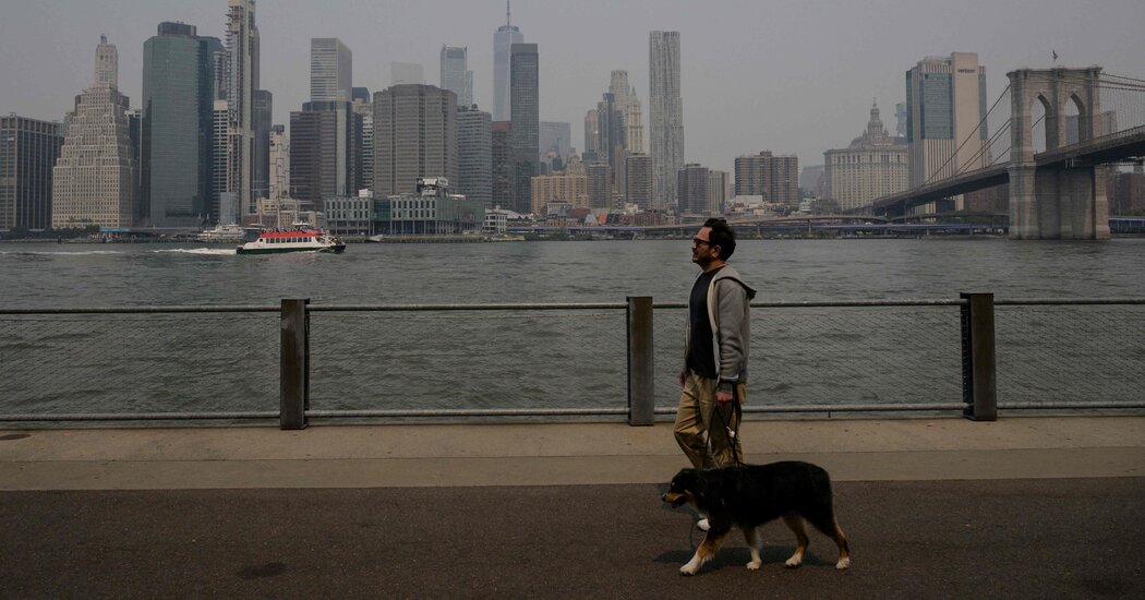 "Protecting Your Pets from Wildfire Smoke: Tips and Warnings"