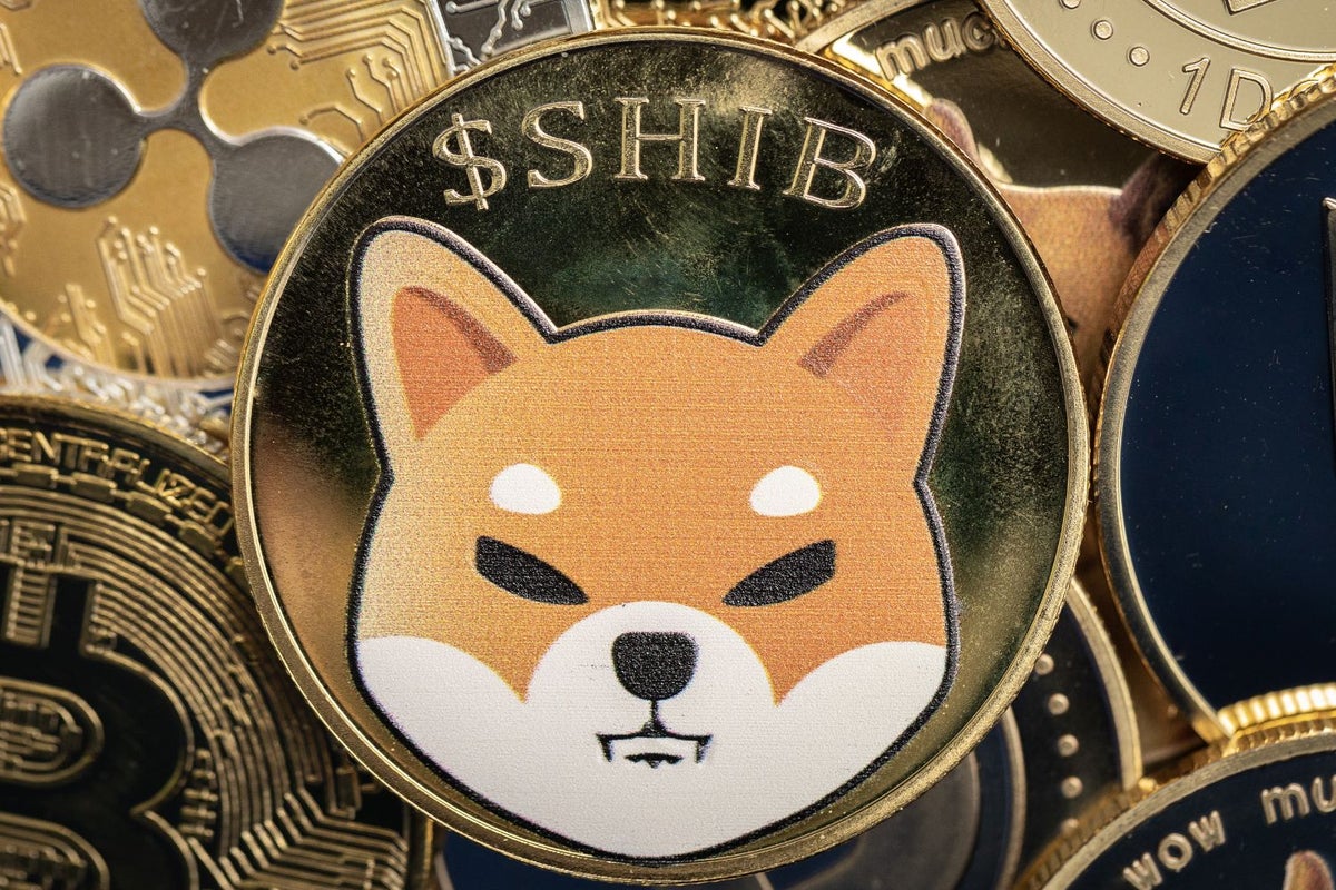 Shiba Inu's Rising Activity and Future Plans for Shibarium