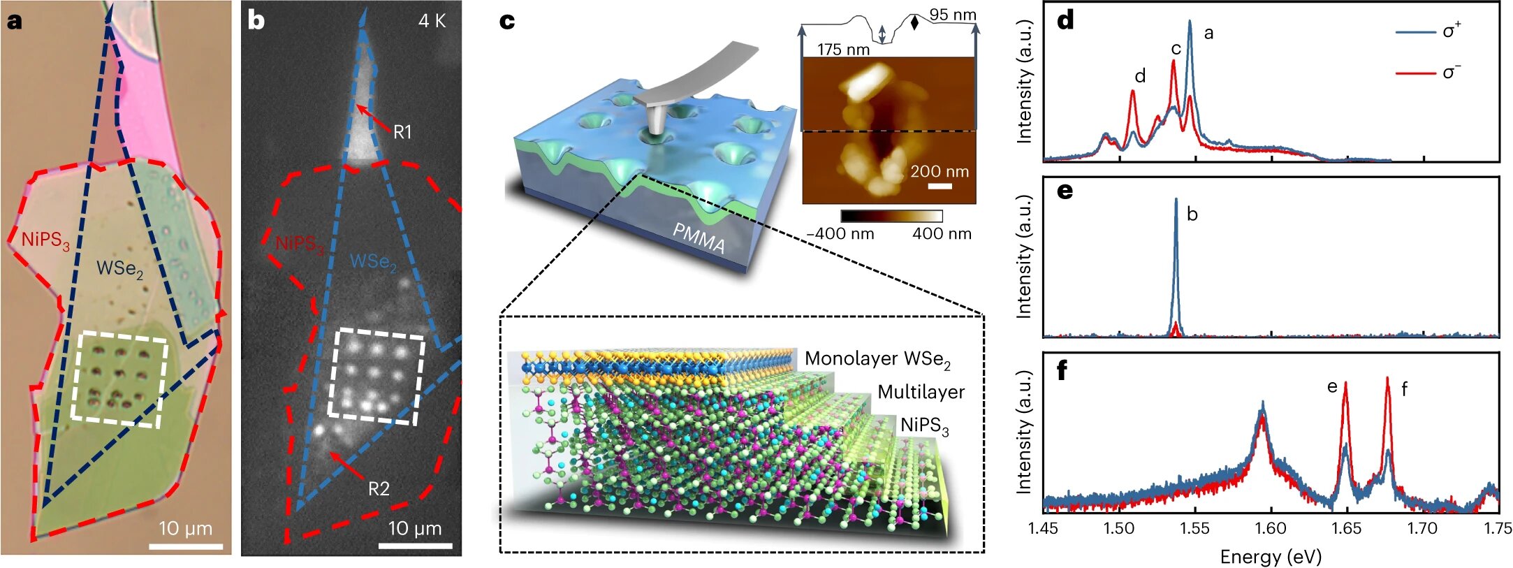 Featured image for "Revolutionary Quantum Device: Generating Single Photons and Encoding Information"