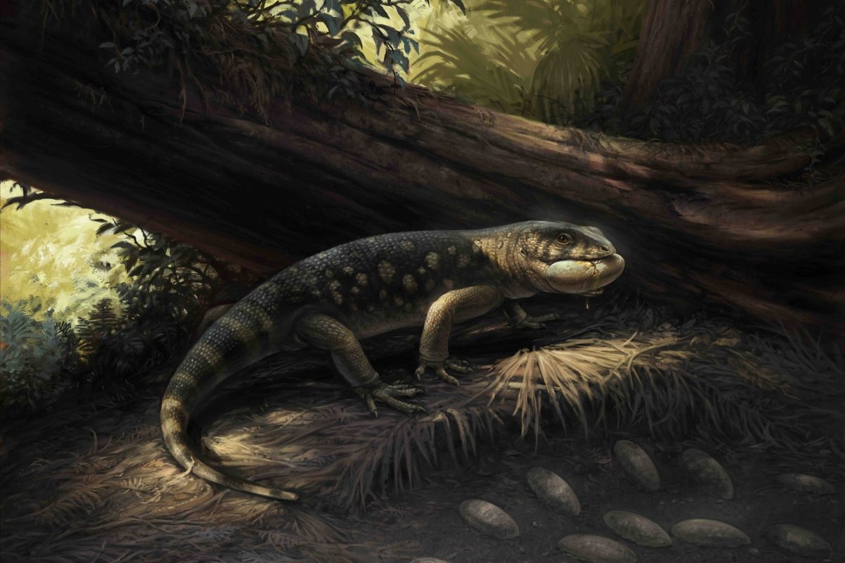 Ancient Utah Monstersaur with Goblin-Like Teeth Revealed