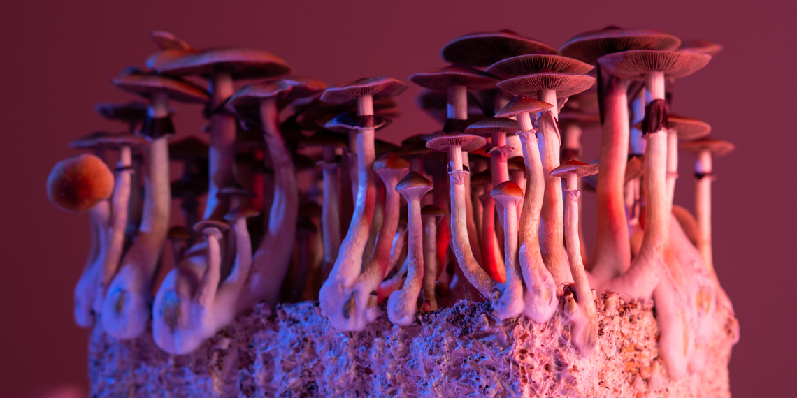 Featured image for Psilocybin Therapy Achieves Long-Term Depression Remission