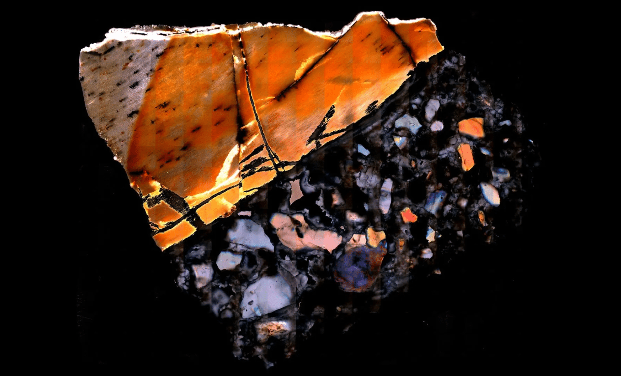 Featured image for Ancient Bones Unveil Secrets of a Lost World