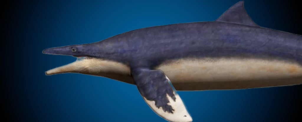 Featured image for Unearthing Japan's Ancient 'Blue Dragon': A Prehistoric Terror of the Seas