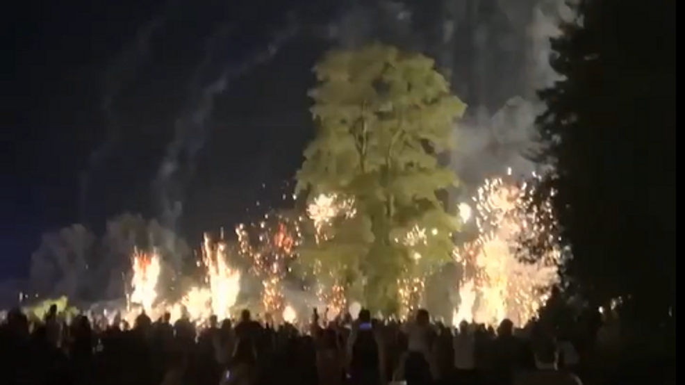 Featured image for Firework Mishap Sends Allegan Crowd into Panic