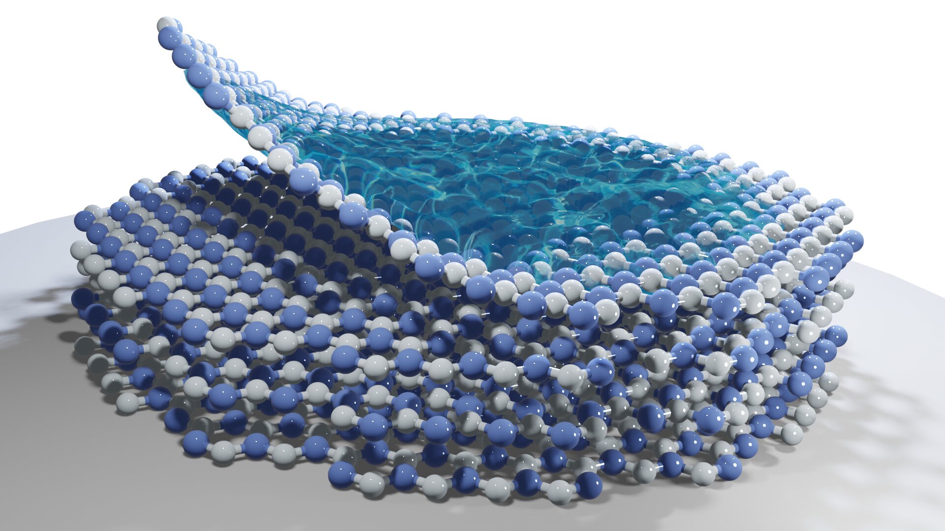 "Uncovering the Formation of Polarons in 2D Atomic Crystals"