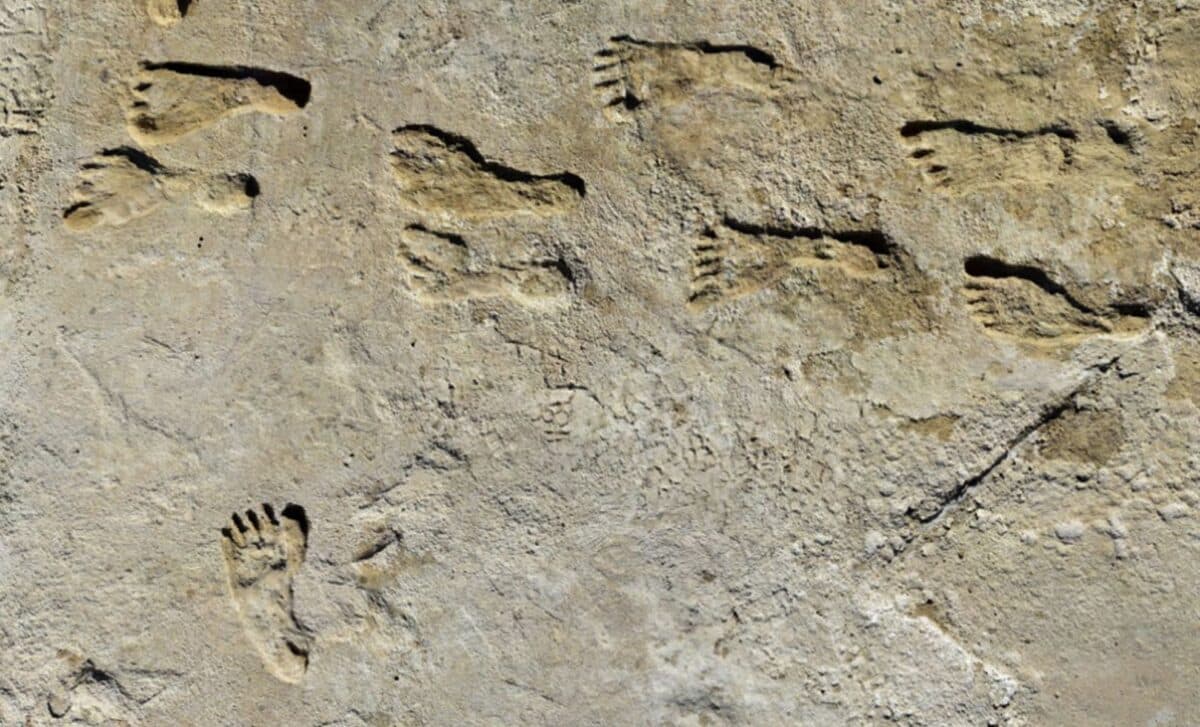 Featured image for Scientists Uncover Oldest Human Footprints in New Mexico