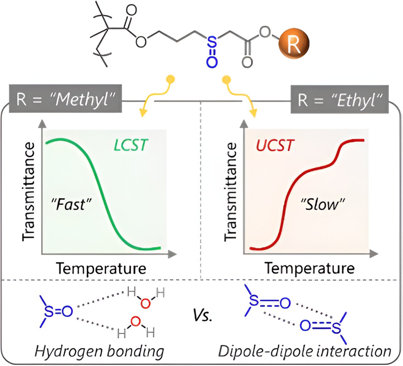 Featured image for "Revolutionary Polymer Adapts to Extreme Temperatures, Paving the Way for New Applications"