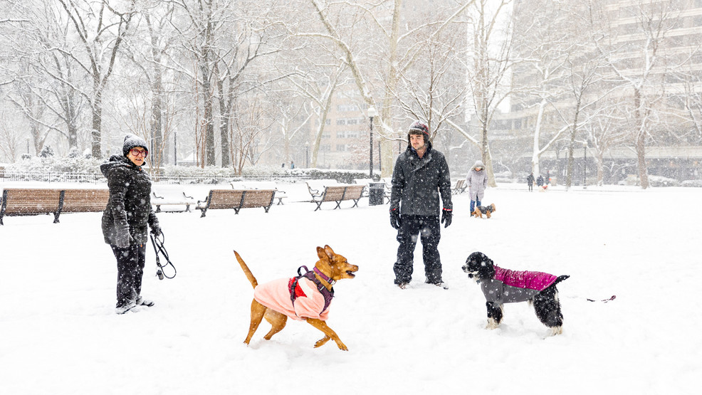 Featured image for "Southern US Braces for Water Woes Amid Arctic Blast"