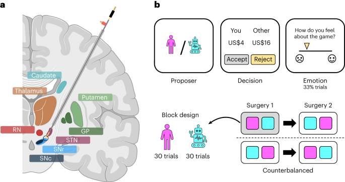 Featured image for "Neurotransmitters Influence Social Behavior in Economic Exchange"