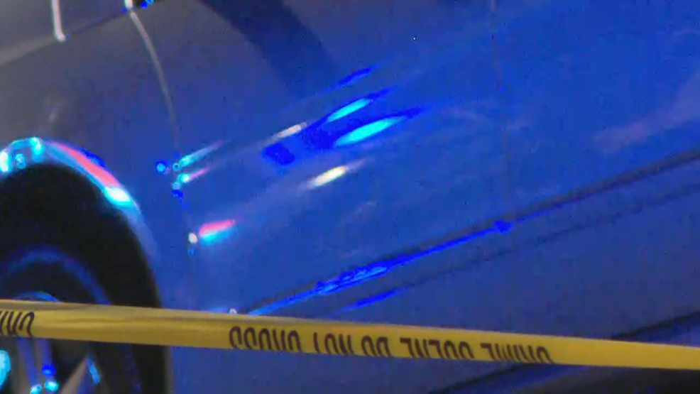 Flint Street carjacking leads to two arrests.