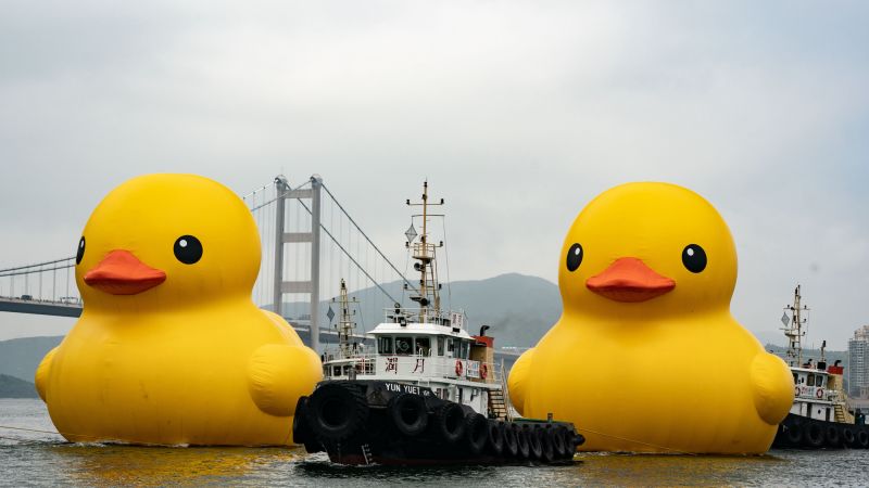 Featured image for Hong Kong's Victoria Harbour welcomes back giant inflatable ducks.
