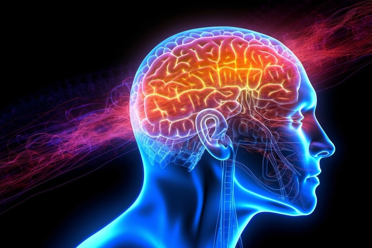 Featured image for Ultrasound enhances brain's waste removal for disease research.