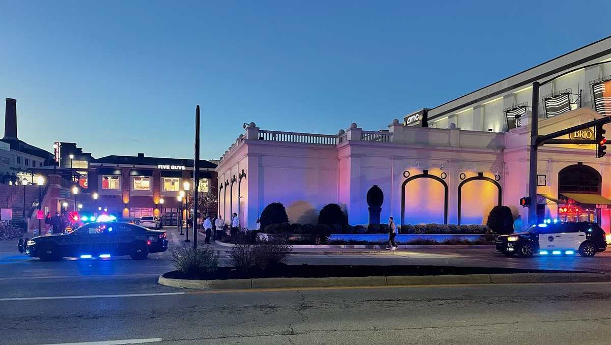 Featured image for "Police Respond to Shooting at Newport on the Levee"