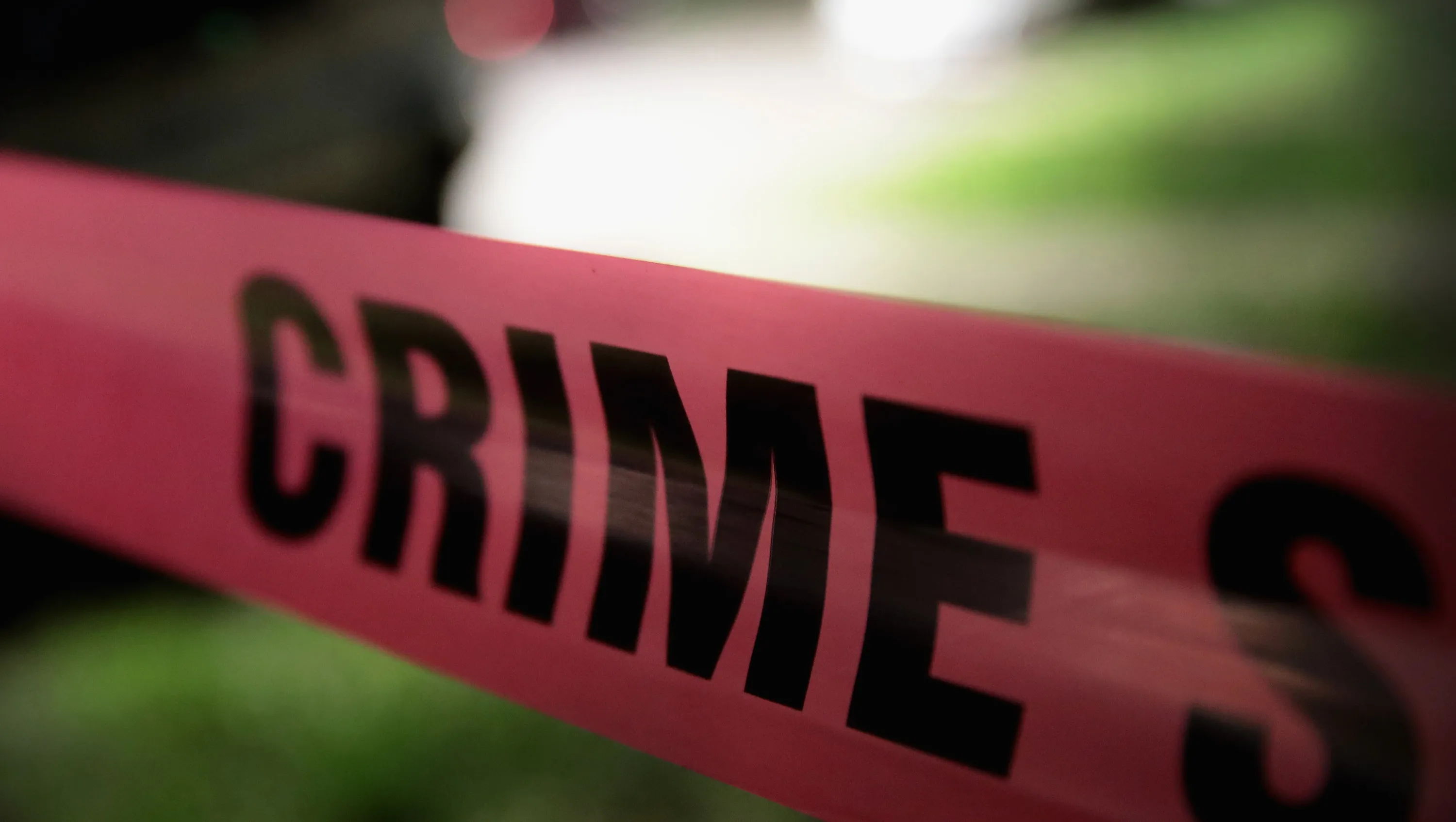 Model Charged in Deadly Bronx Stabbing Incident