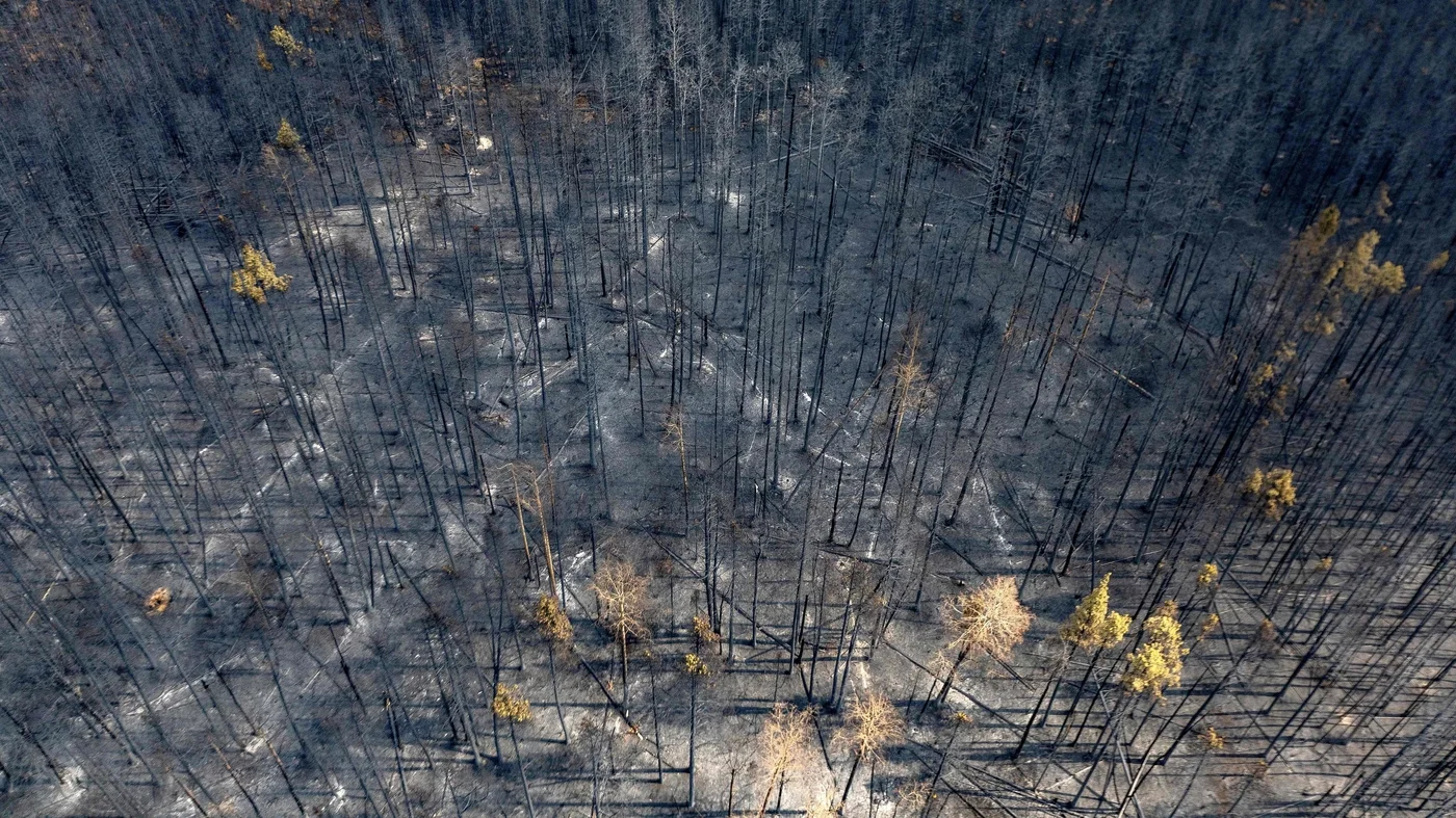 Rain Brings Hope in Fighting Canada's Wildfires.