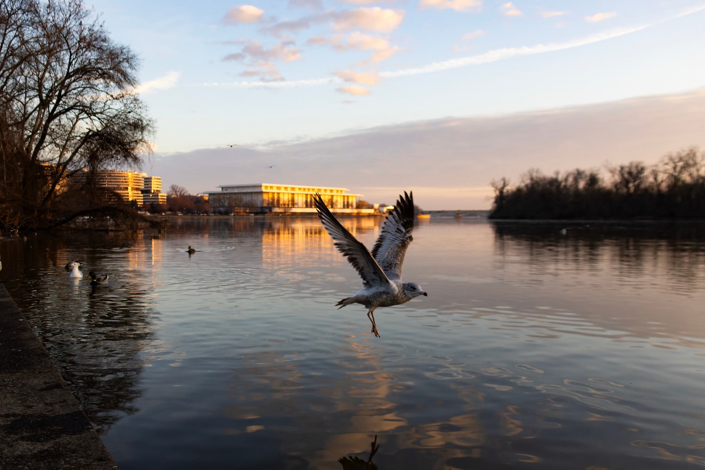Featured image for "Sunny Skies Prevail with a Chill as East Coast Monitors Weekend Storm Outlook"