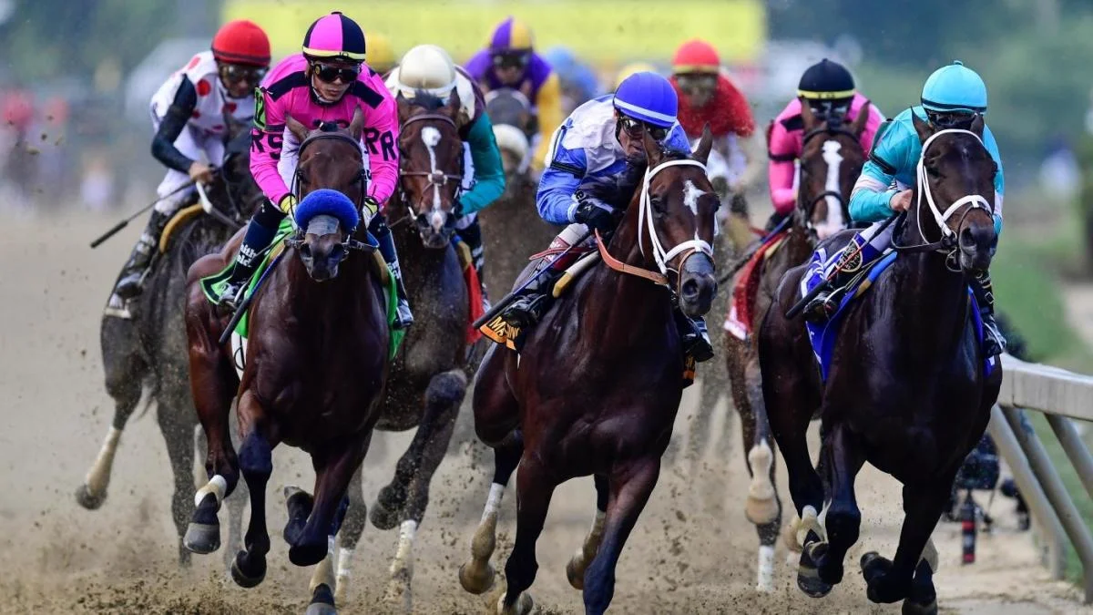 Featured image for Expert Picks and Diversity Efforts Highlight 2023 Preakness Stakes