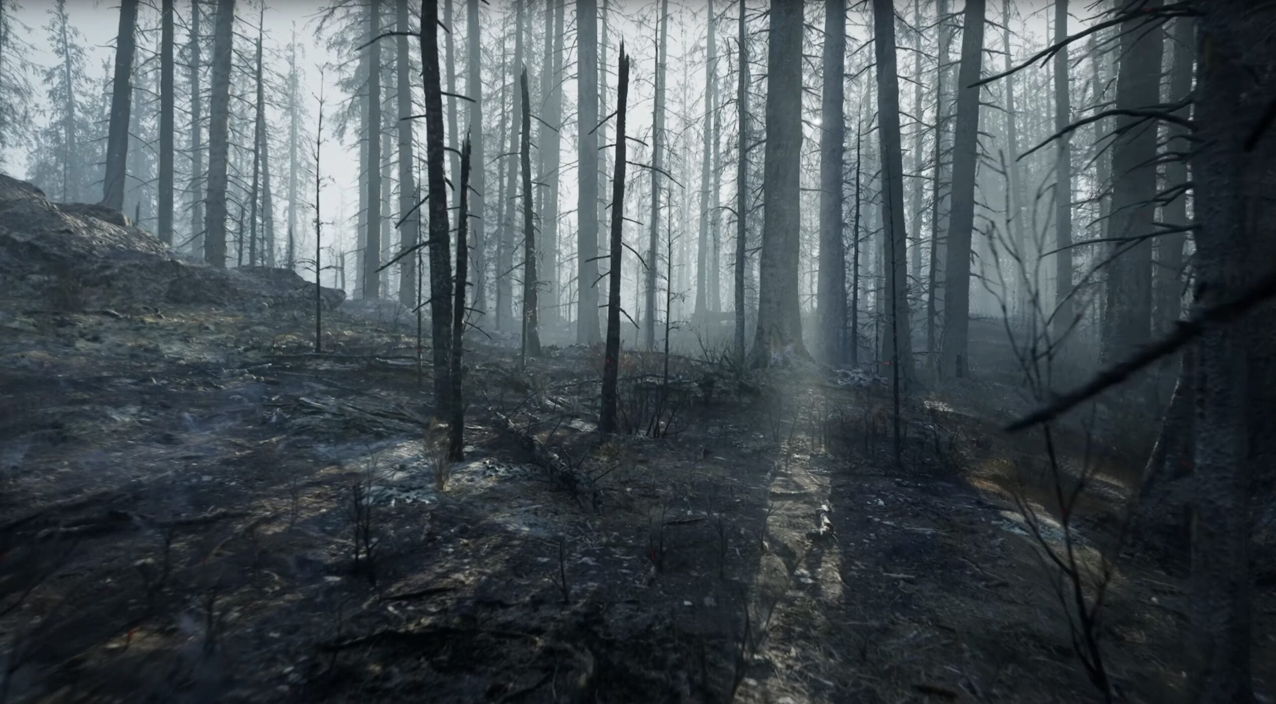 Featured image for "Unreal Engine 5.2's Burned Dead Forest Demo: Hauntingly Realistic Tech Released"