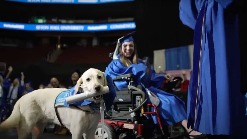 Featured image for Service dogs graduate alongside their human handlers in heartwarming ceremonies.