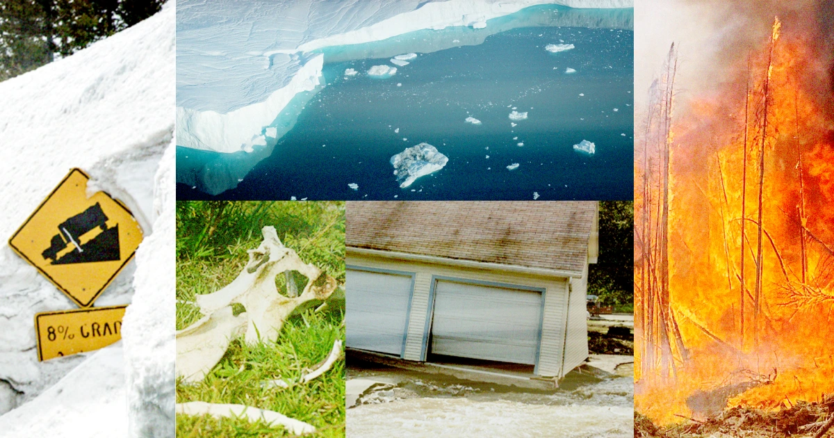 "From Heatwaves to Floods: The U.S. Grapples with Extreme Weather"