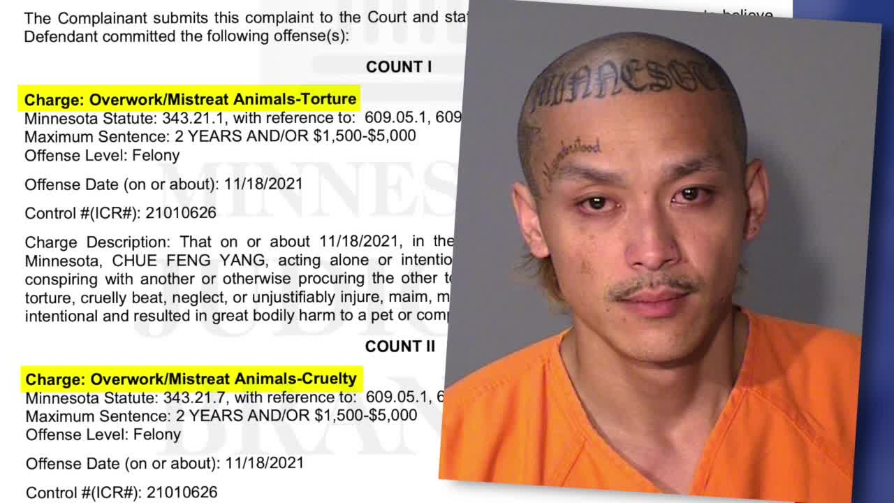 Minnesota Man Livestreams Fatal FBI Standoff