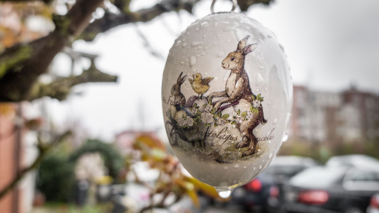 Featured image for "Phoenix Breaks Rainfall Record on Easter Sunday"